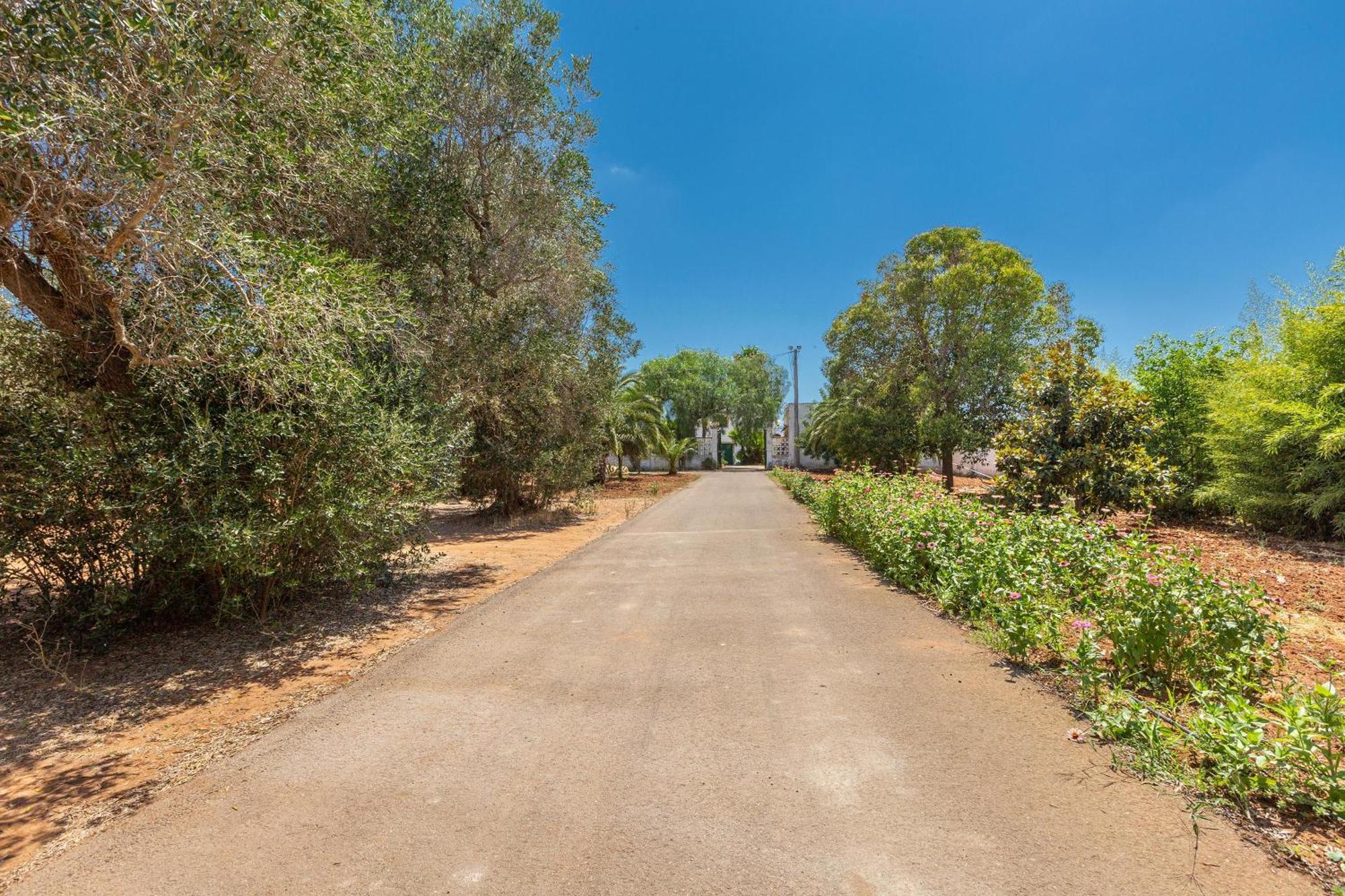 Masseria Sierri By Perle Di Puglia San Pancrazio Salentino Eksteriør bilde